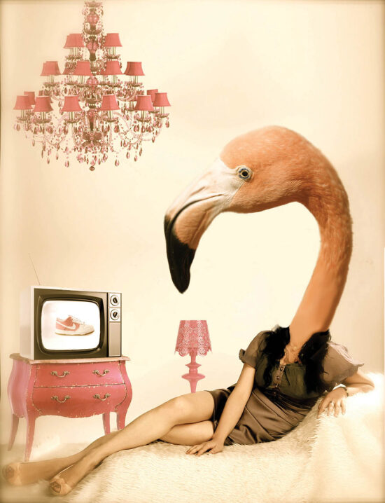 photo montage.jpg